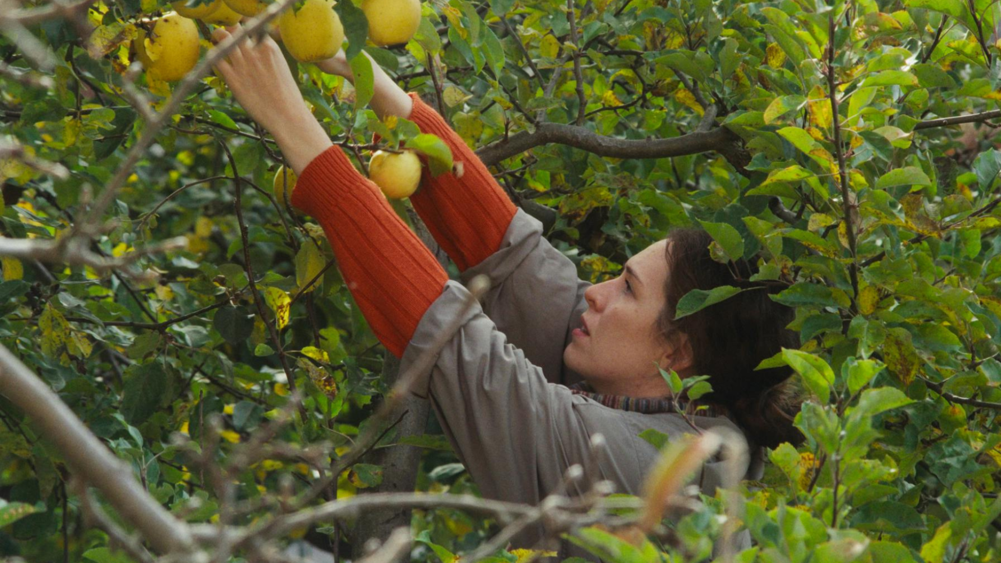 Nachwuchspreis SSA Hauptbild