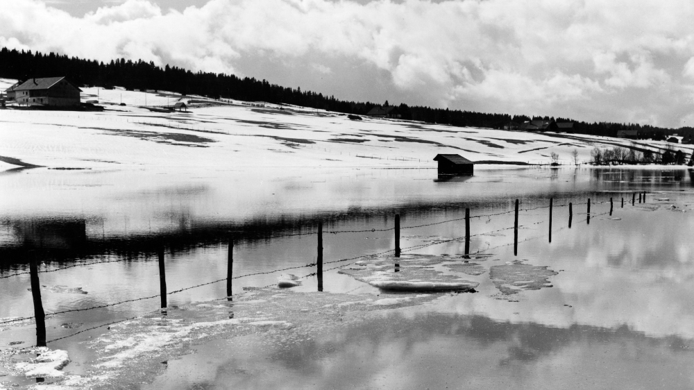 Titelbild Auge in Auge mit dem Jura