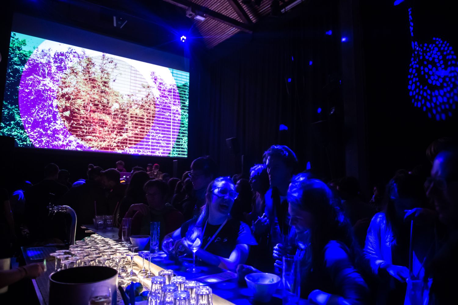 Afterparty «Nacht der Nominationen» an den 54. SFT (© module+ / Solothurner Filmtage)